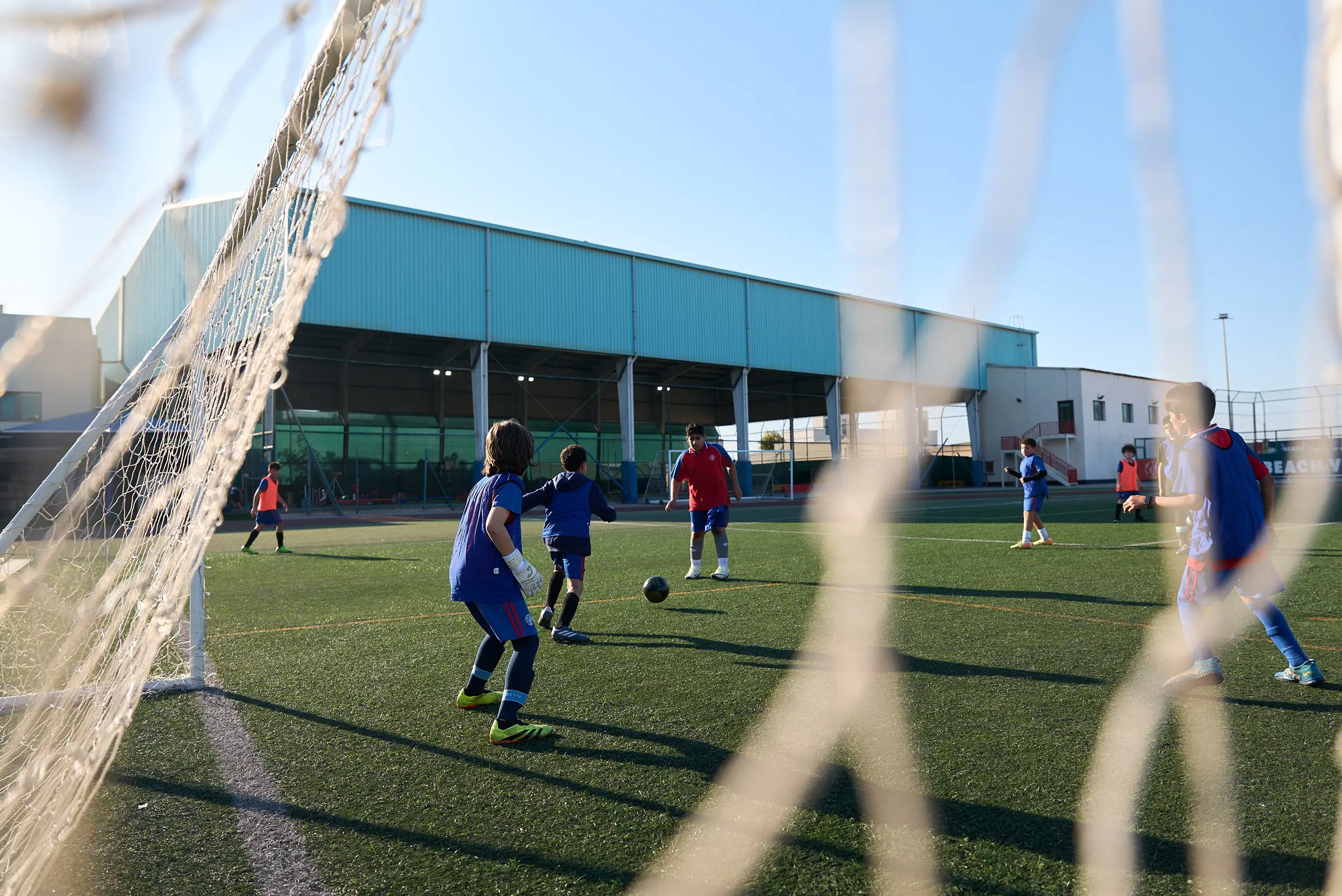  OptimizedImage,,,Optimized