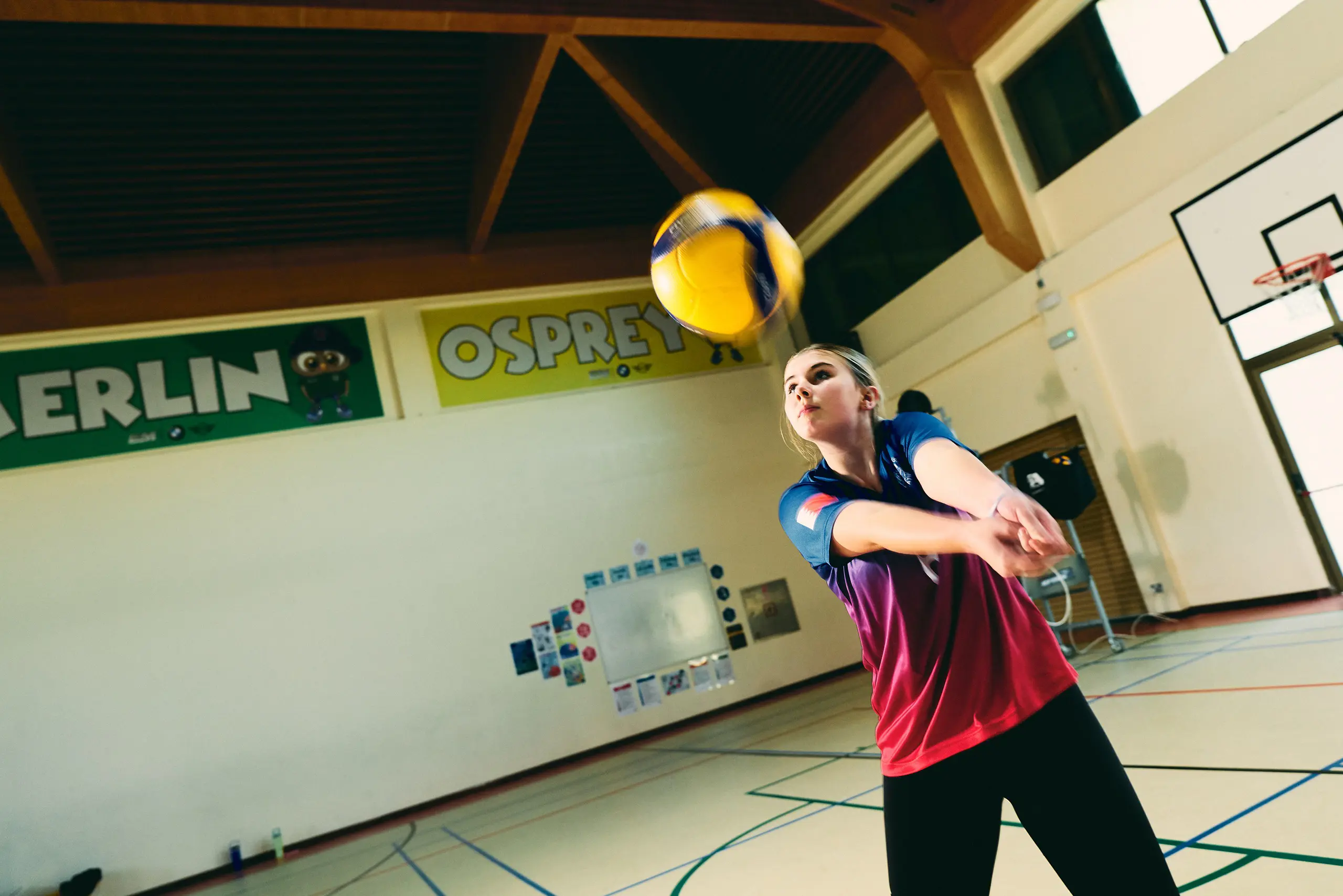  OptimizedImage,,,Optimized