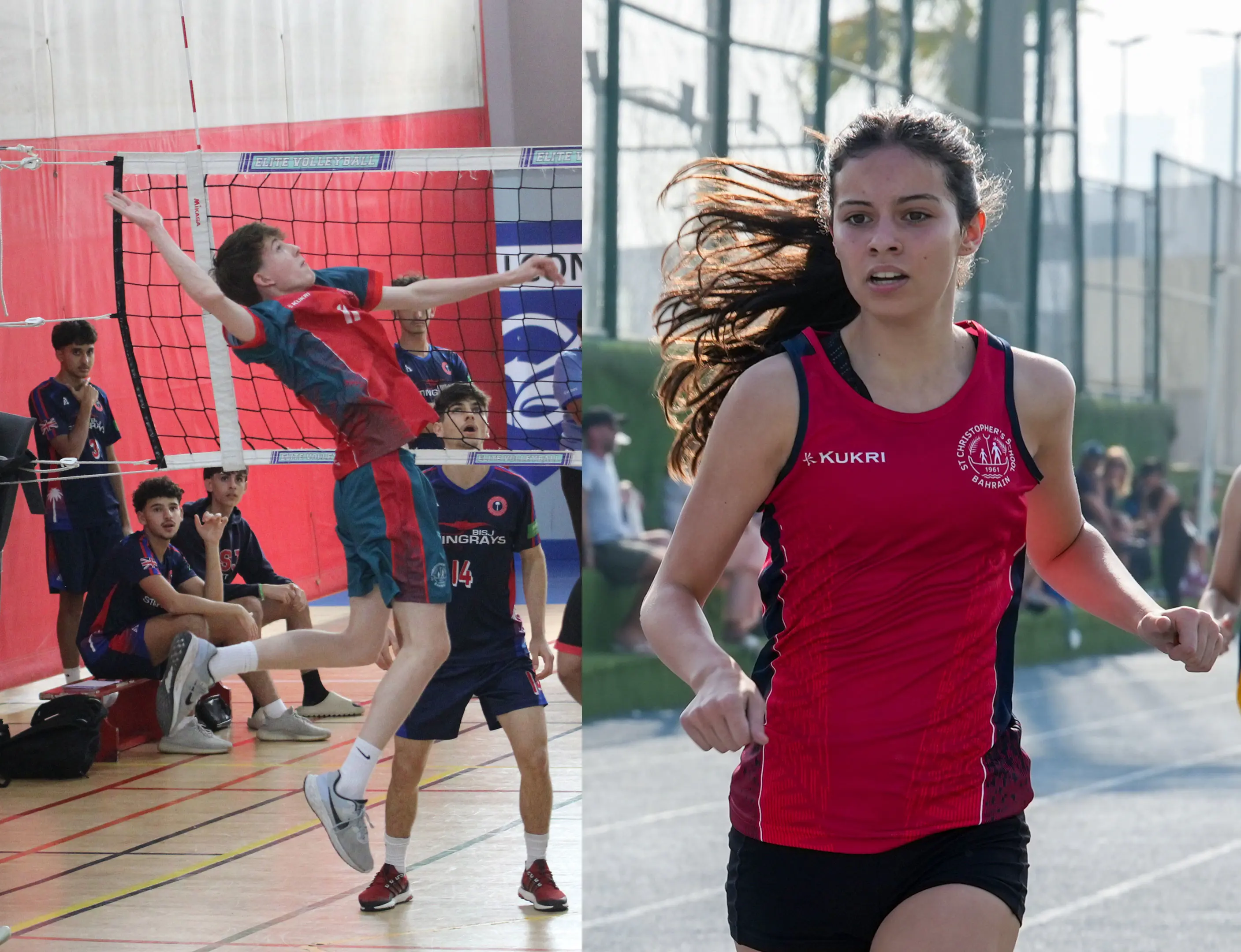  OptimizedImage,,,Optimized